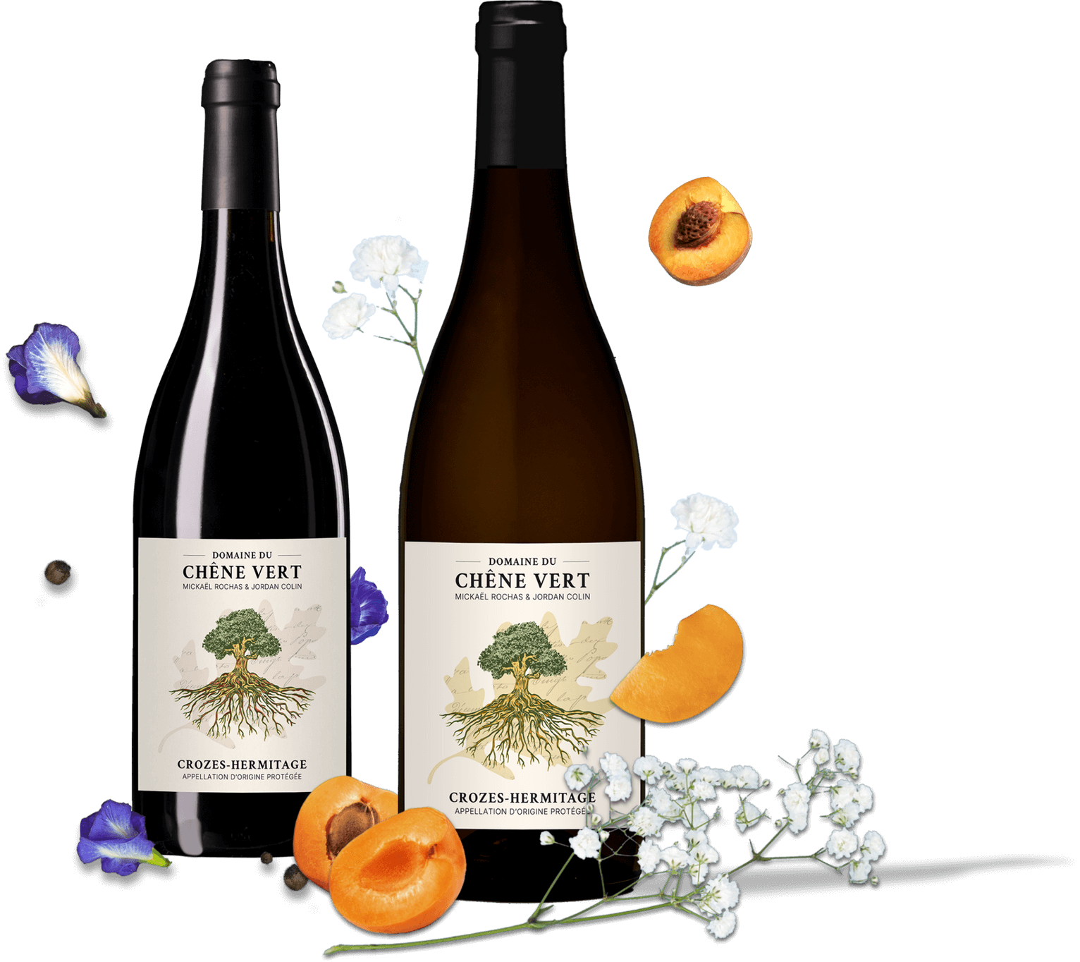 cuvee domaine Chêne Vert Un terroir unique en Vallée du Rhône